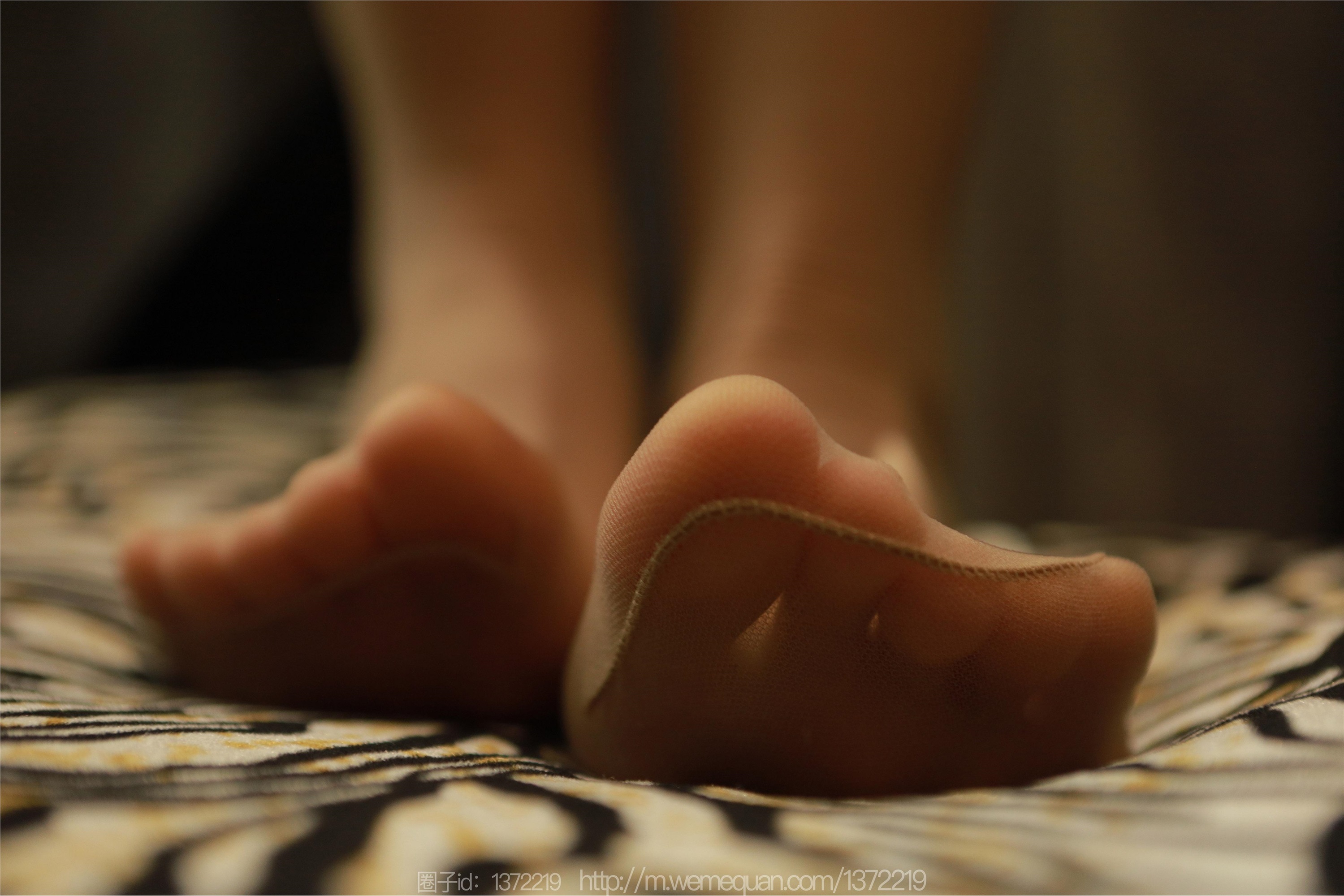 图片[65]-IESS异思趣向期期2023.03.01期丝享家期1377期小金《爱丽丝梦境》-秀人网