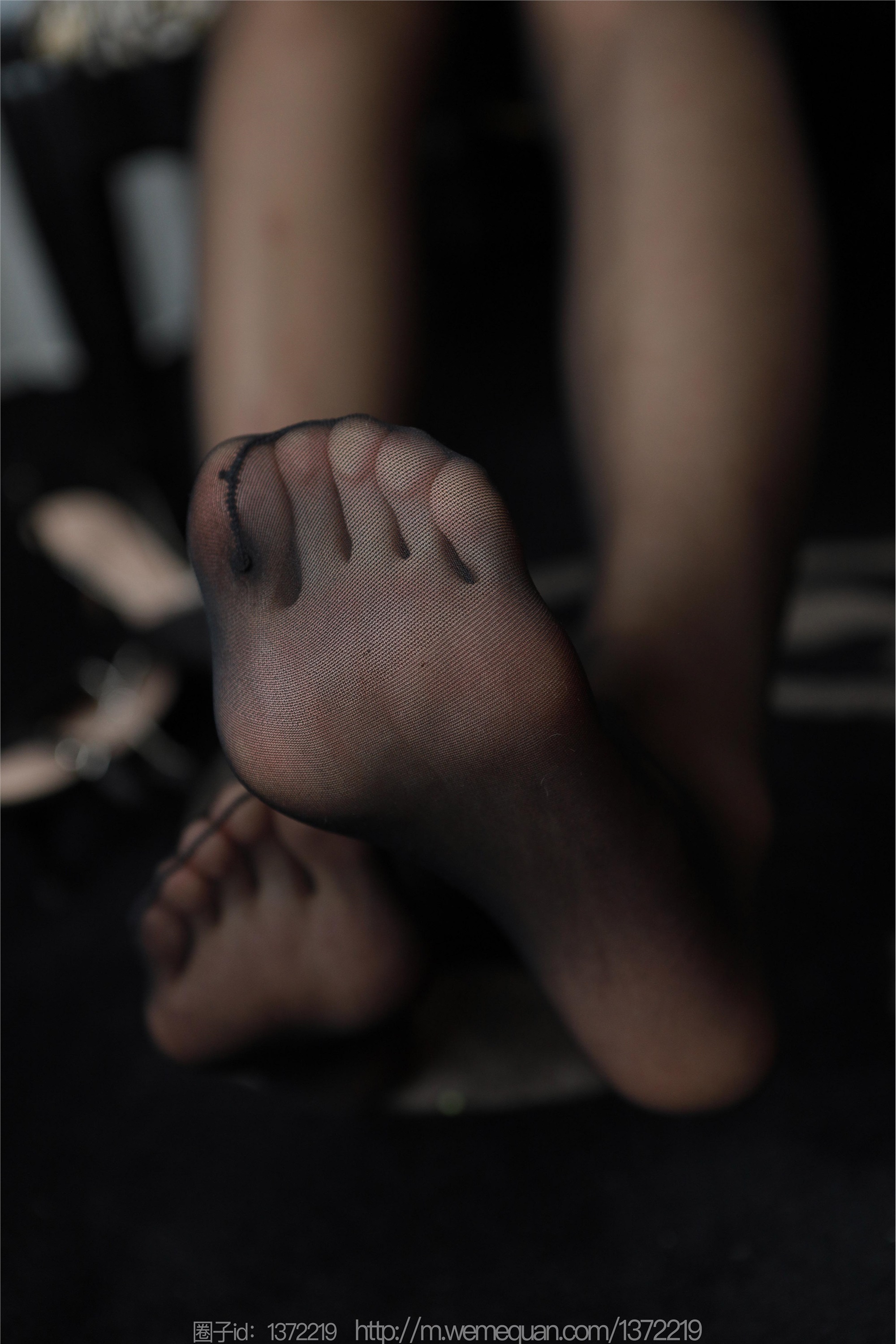 图片[65]-IESS异思趣向期期2023.03.11期丝享家期1387期小宝《红玫瑰雷丝》-套图网