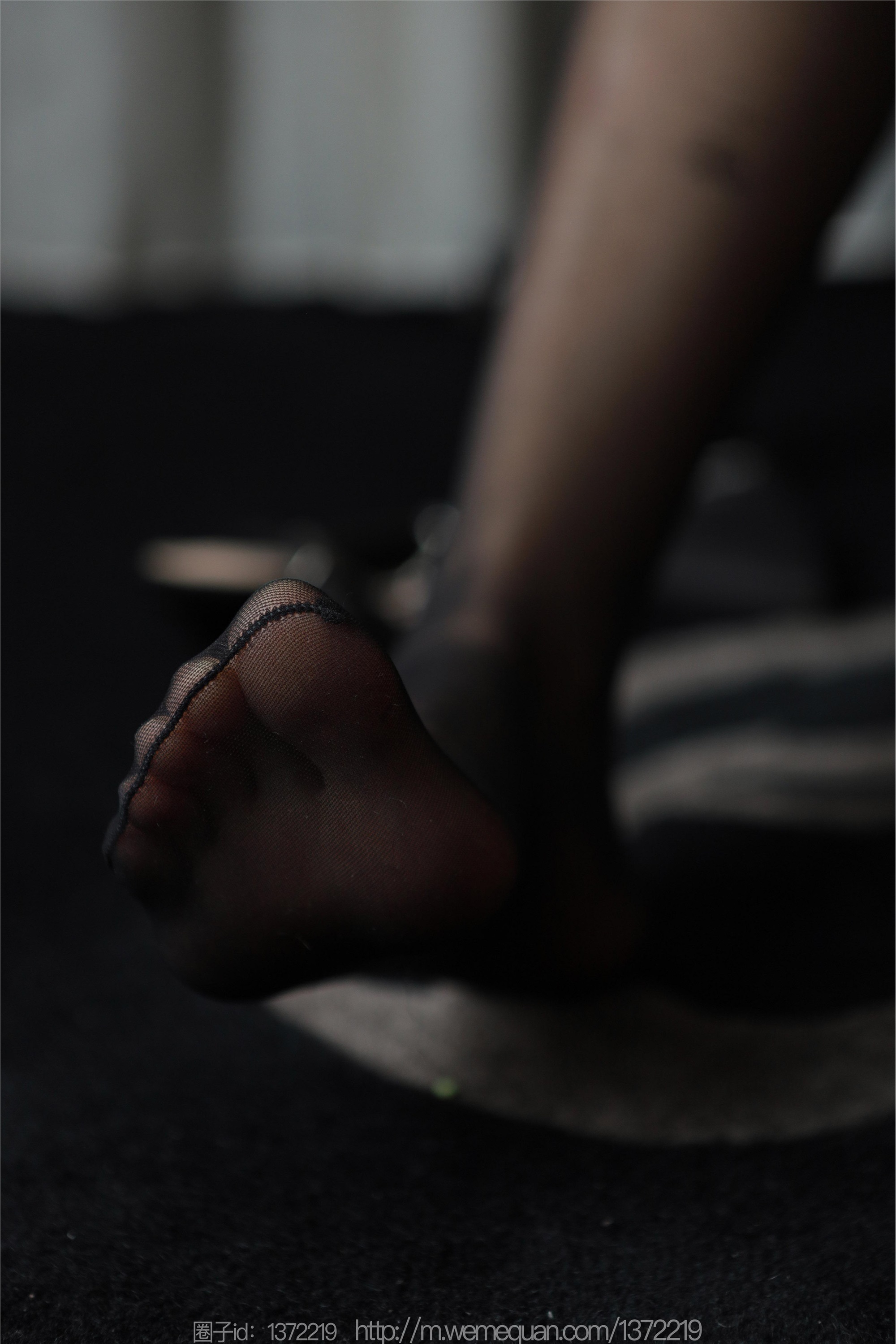 图片[67]-IESS异思趣向期期2023.03.11期丝享家期1387期小宝《红玫瑰雷丝》-套图网