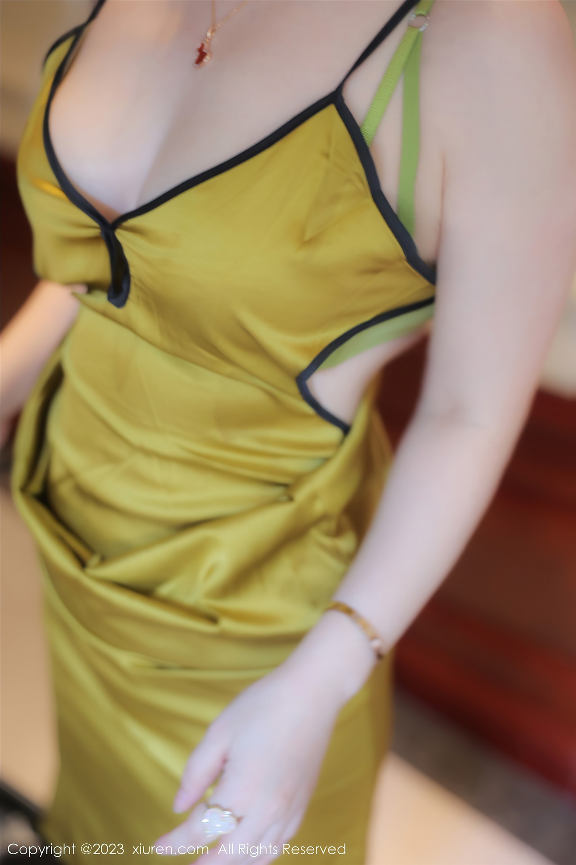 图片[61]-Xiuren秀人网期2023.08.29期N第7302期诗诗kiki-套图网