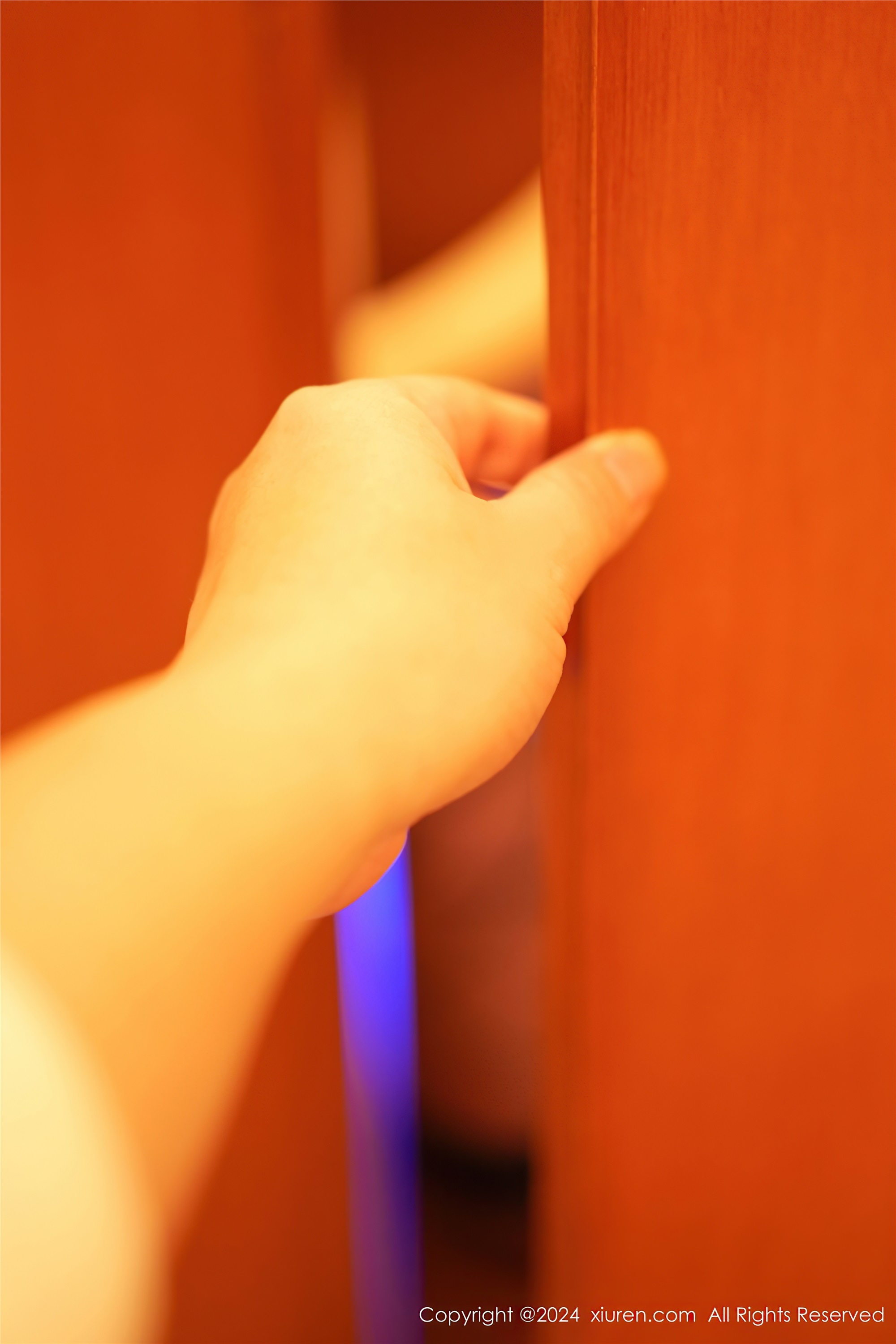 图片[2]-Xiuren秀人网期2024.02.02期N第8054期谭小灵-秀人网