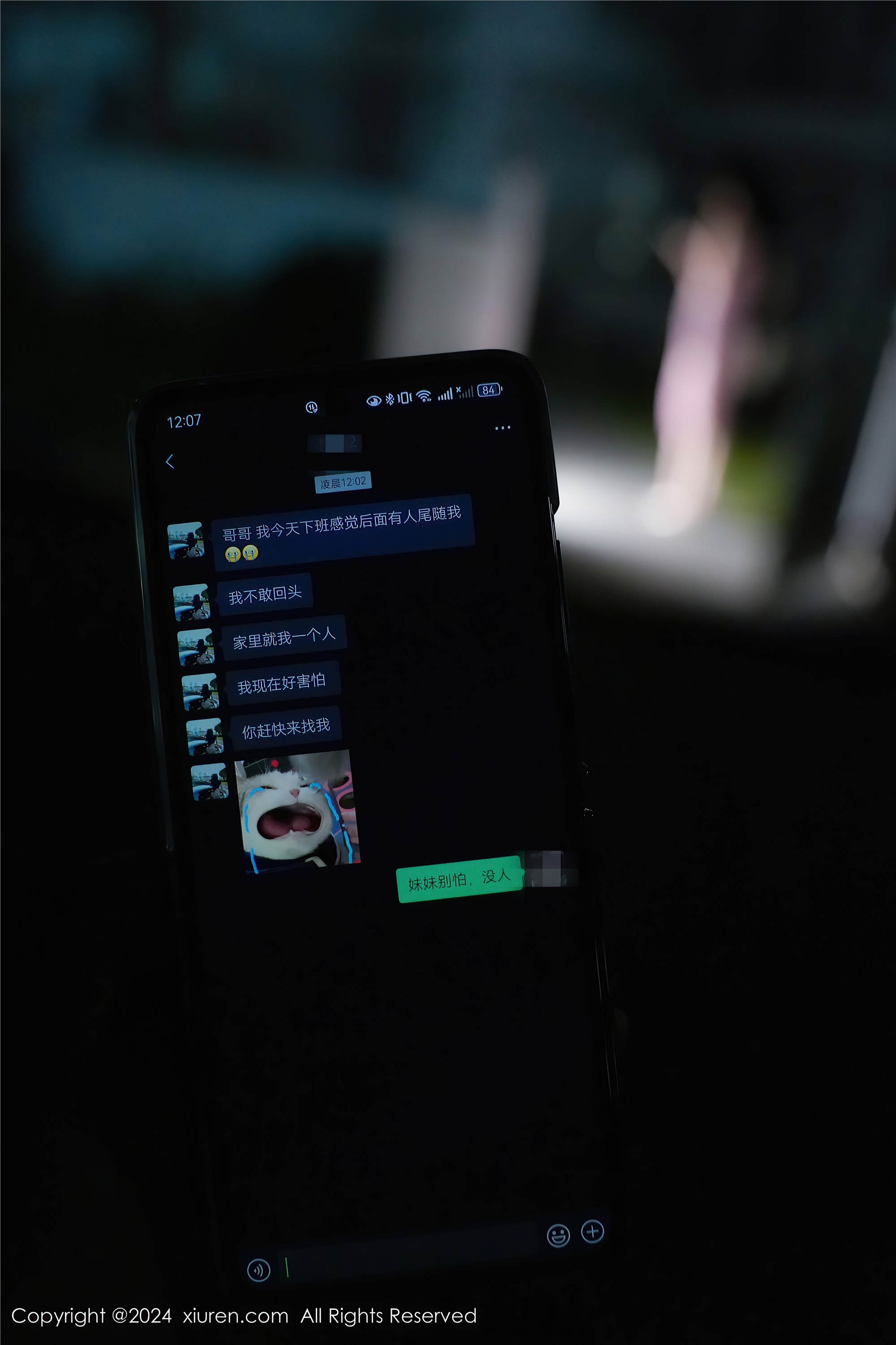 图片[2]-Xiuren秀人网期2024.07.12期N第8855期Erikaki-秀人网