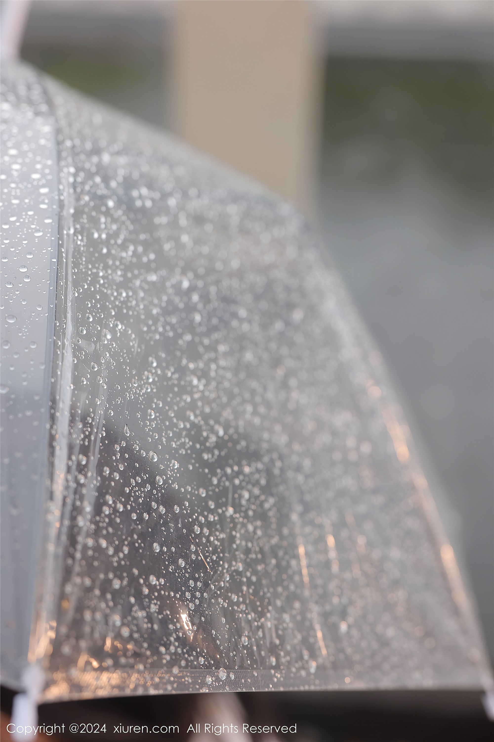 图片[2]-Xiuren秀人网期2024.07.19期N第8885期桃妖夭-秀人网