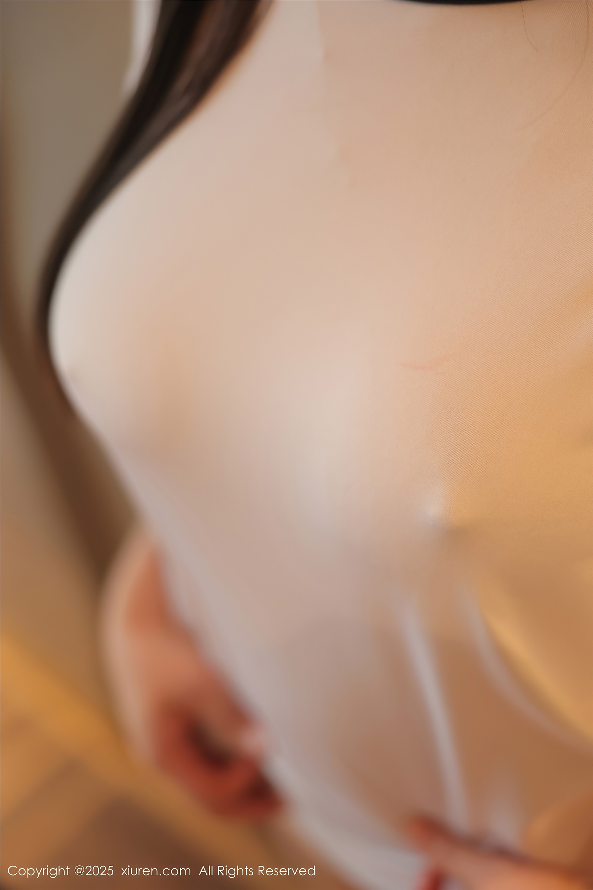 Xiuren秀人网期2025.01.16期N第9766期爱酱里-秀人网