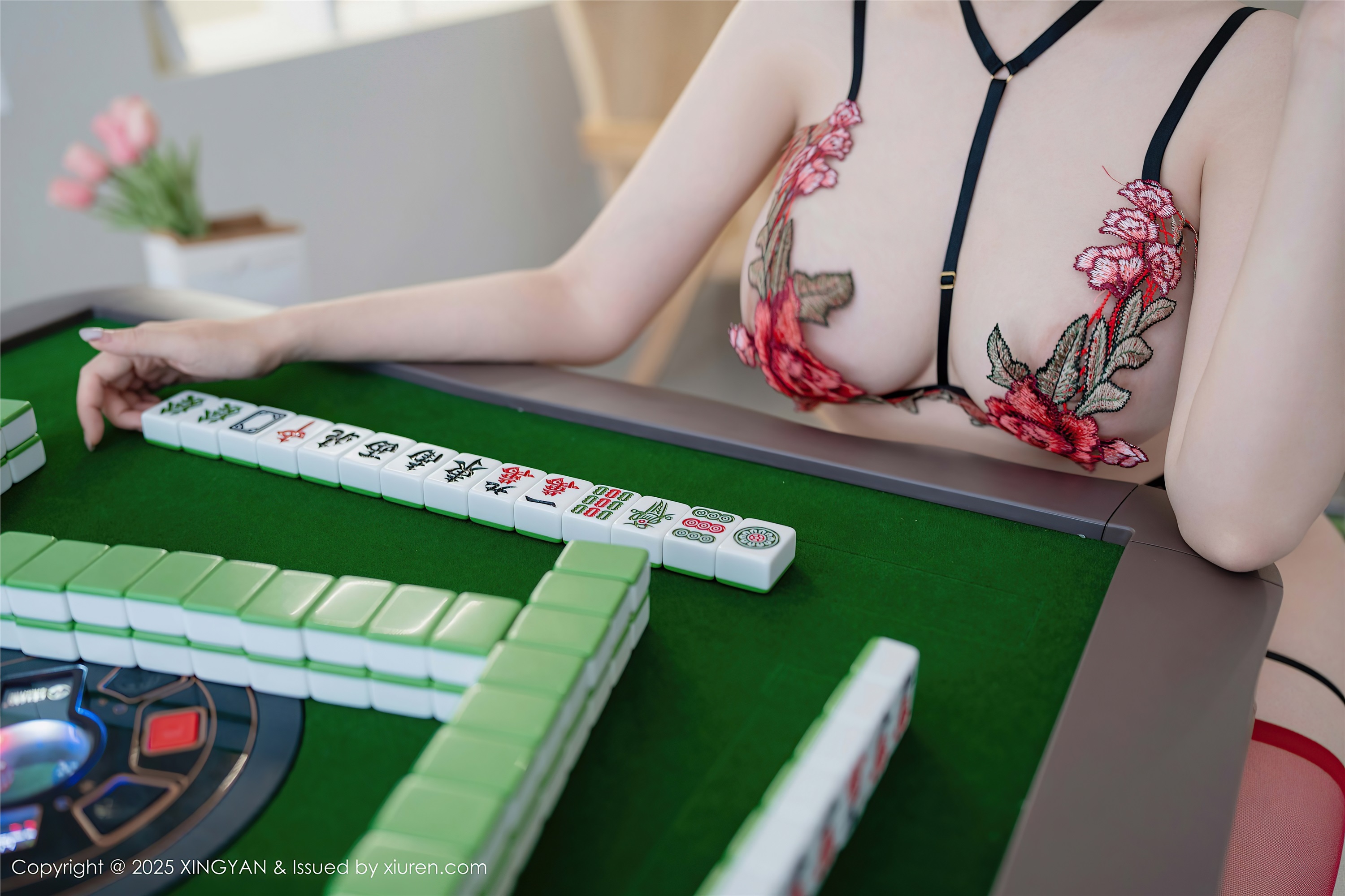 图片[9]-XINGYAN星颜社期2025.02.13期VOL.308期袁圆-秀人网