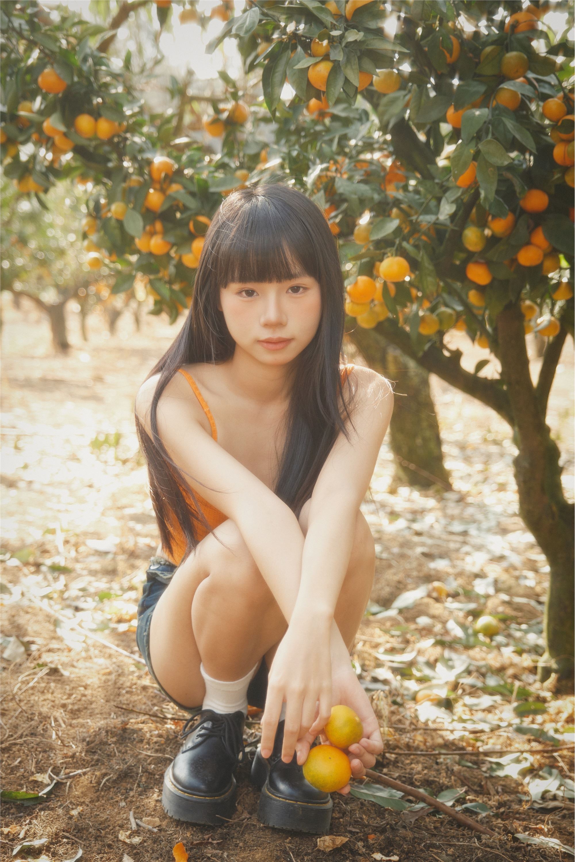 图片[2]-YITUYU艺图语期2025.01.26期橘子园期是三金呀-套图网