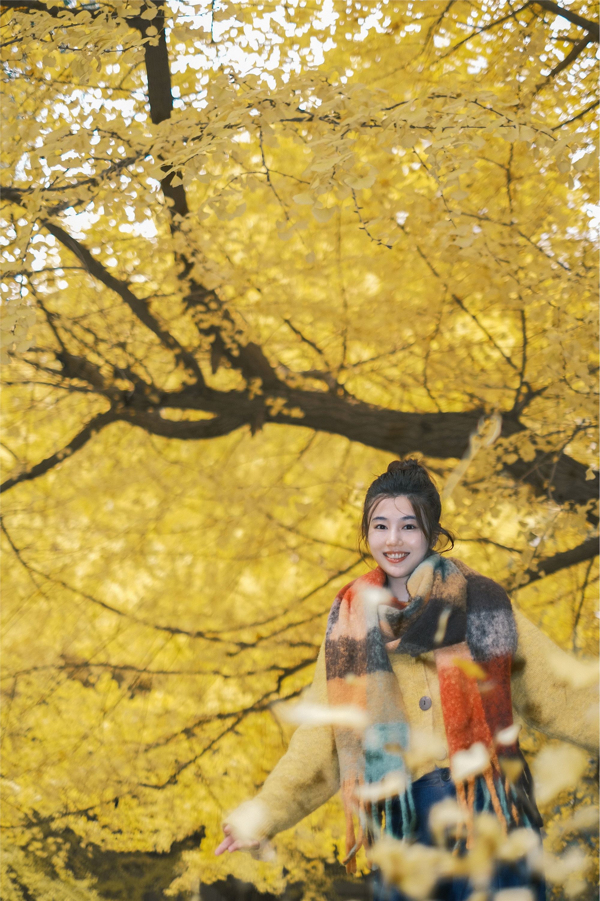 图片[3]-YITUYU艺图语期2025.01.26期窗边秋色期凡凡-套图网