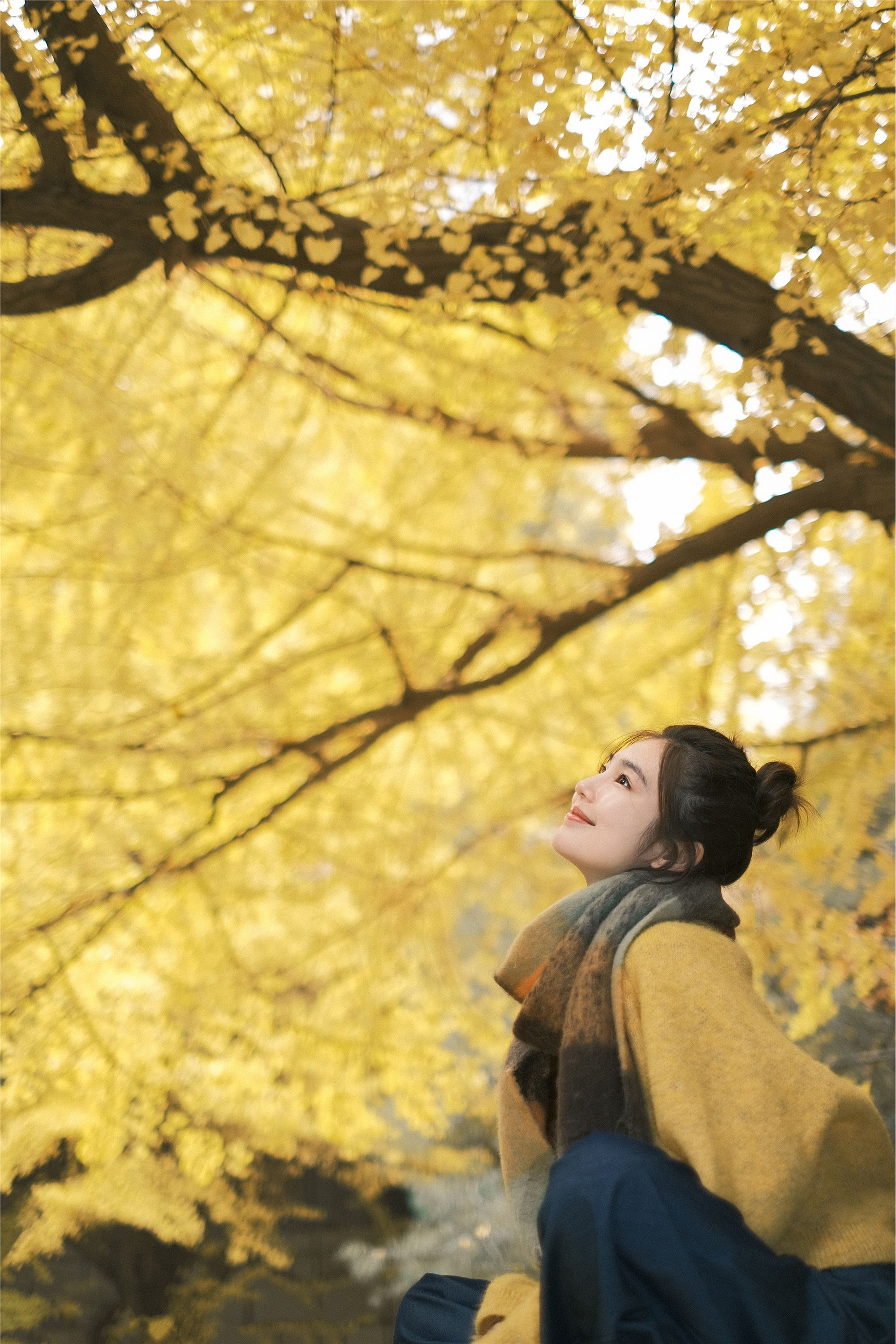 图片[5]-YITUYU艺图语期2025.01.26期窗边秋色期凡凡-套图网