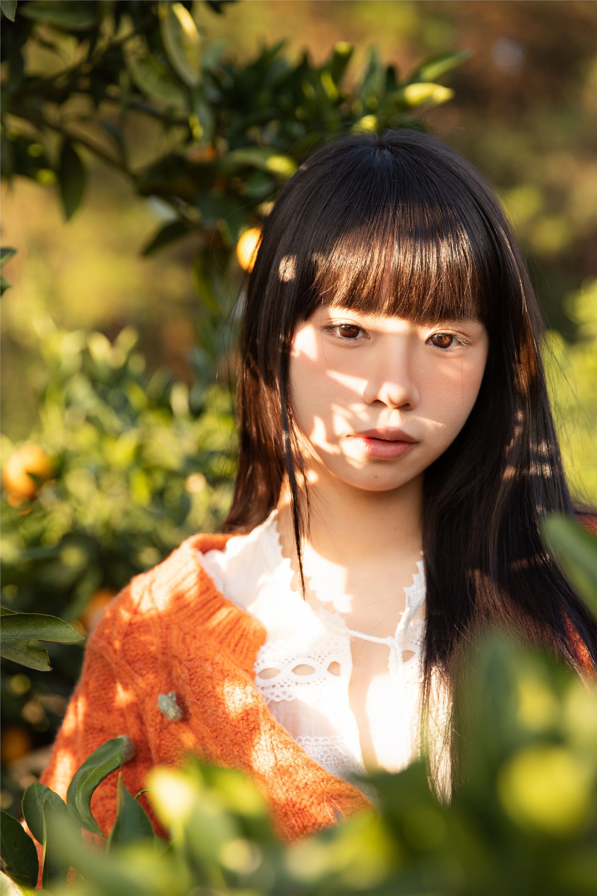 图片[2]-YITUYU艺图语期2025.02.03期橘子辉煌期是三金呀-套图网