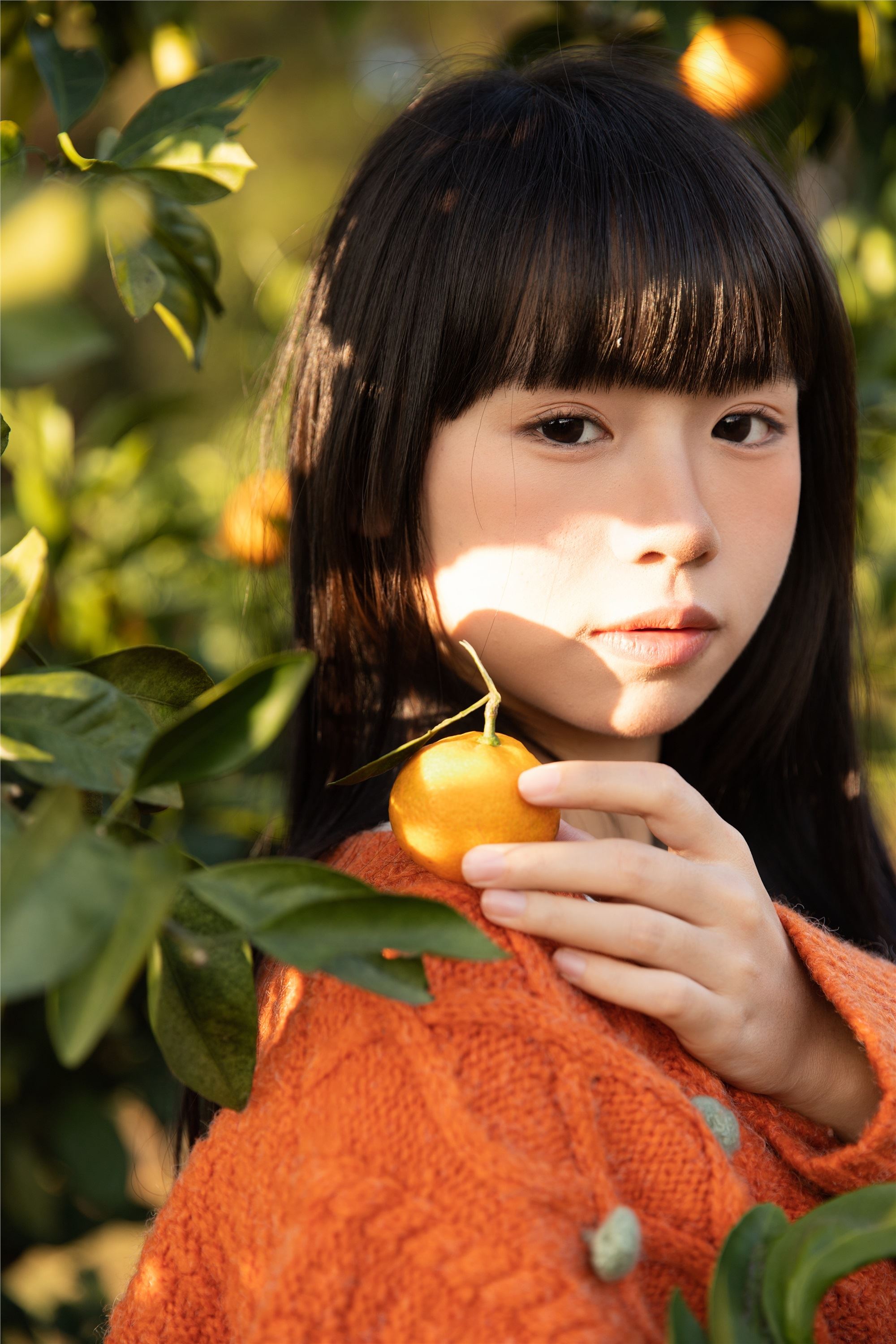 图片[3]-YITUYU艺图语期2025.02.03期橘子辉煌期是三金呀-套图网