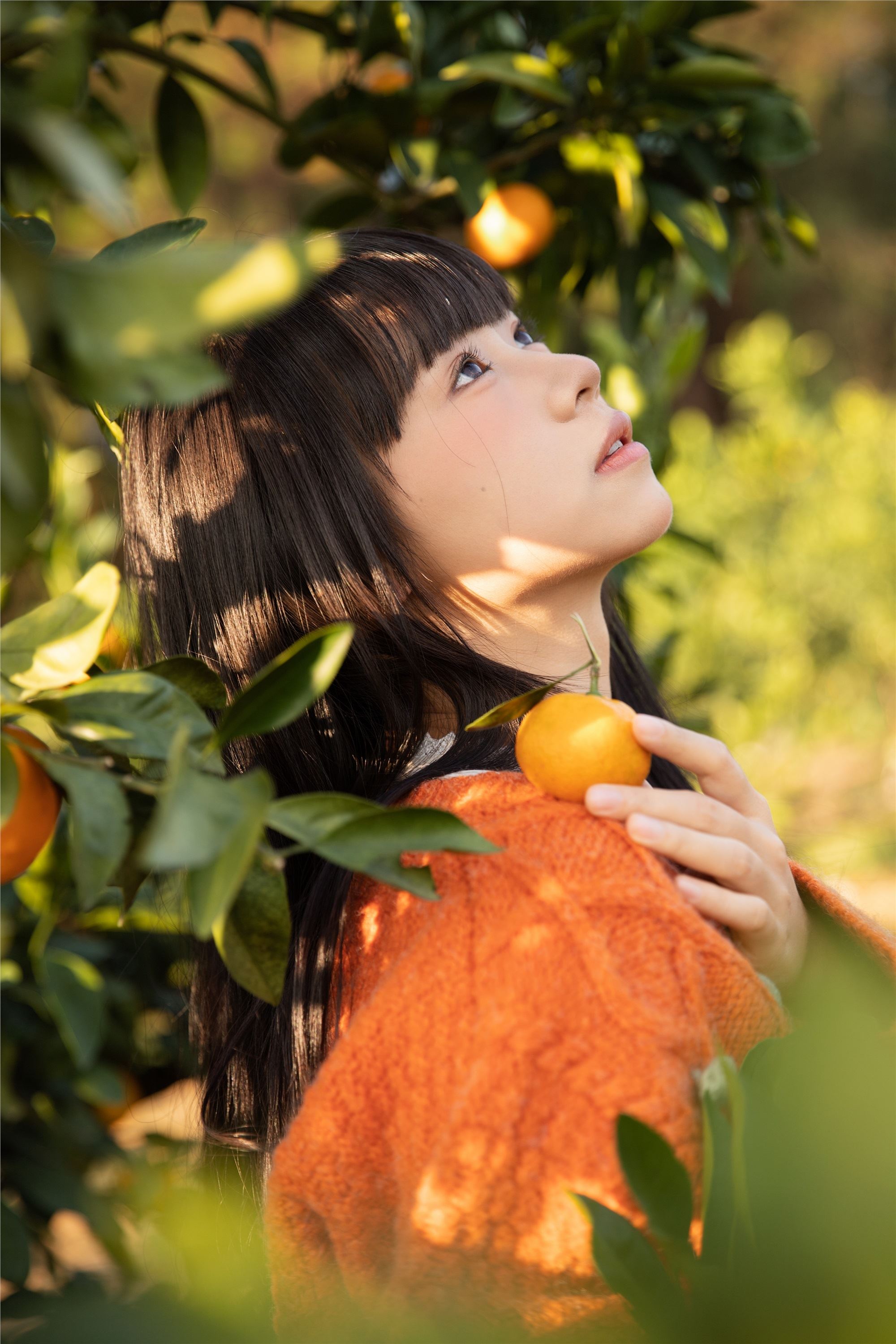 图片[4]-YITUYU艺图语期2025.02.03期橘子辉煌期是三金呀-套图网