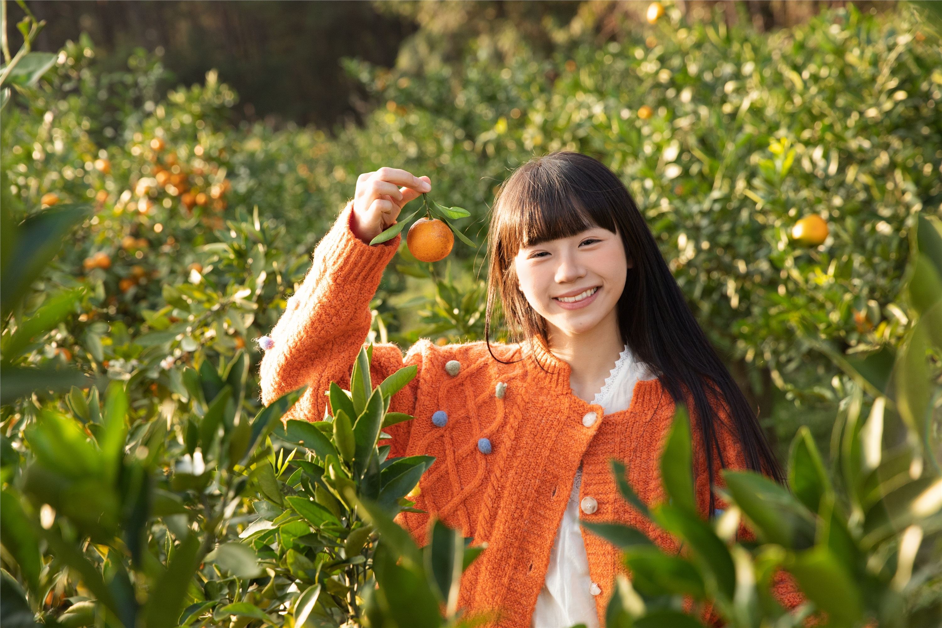 图片[6]-YITUYU艺图语期2025.02.03期橘子辉煌期是三金呀-套图网