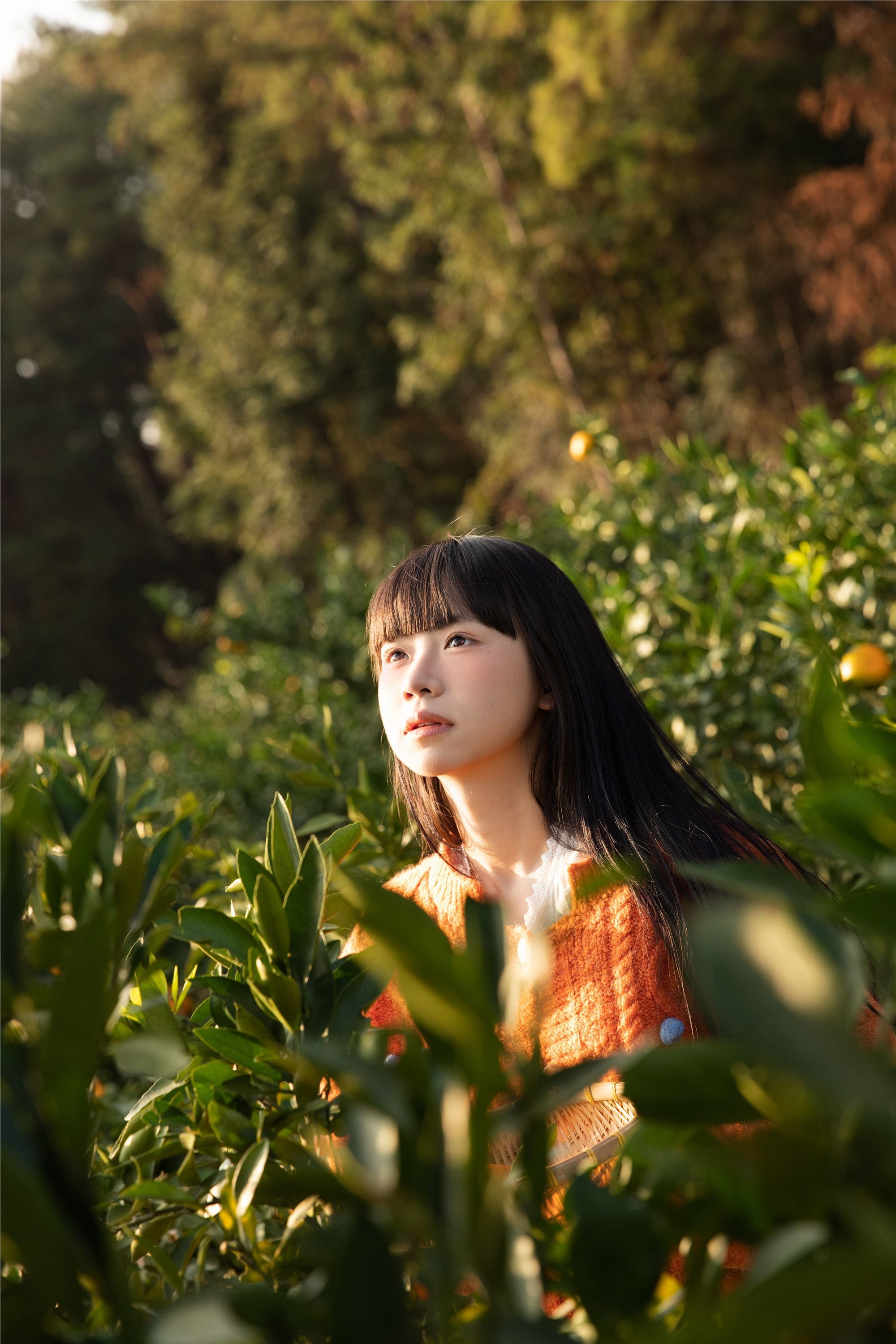 图片[7]-YITUYU艺图语期2025.02.03期橘子辉煌期是三金呀-套图网