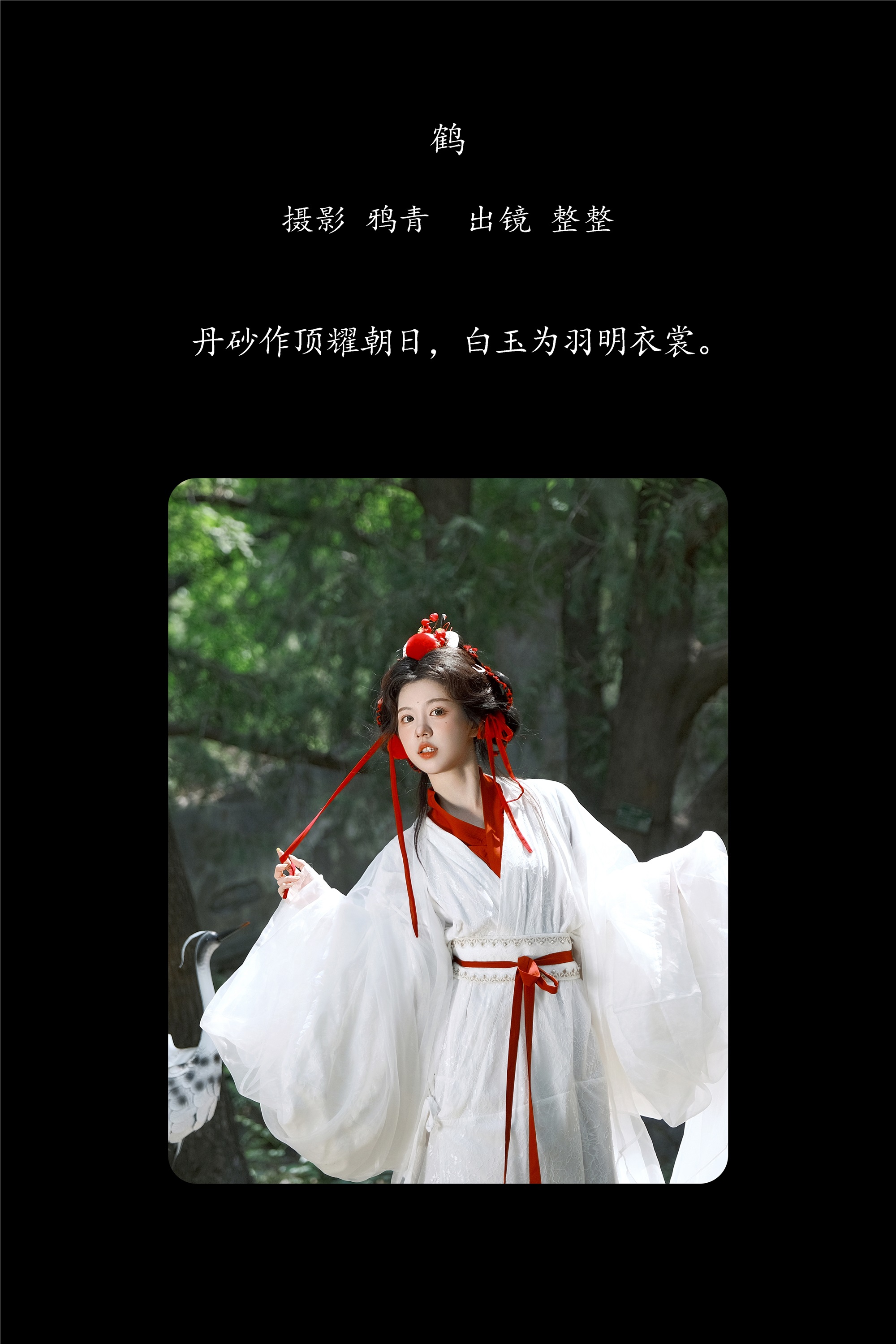 YITUYU艺图语期2025.02.05期鹤期整整-套图网