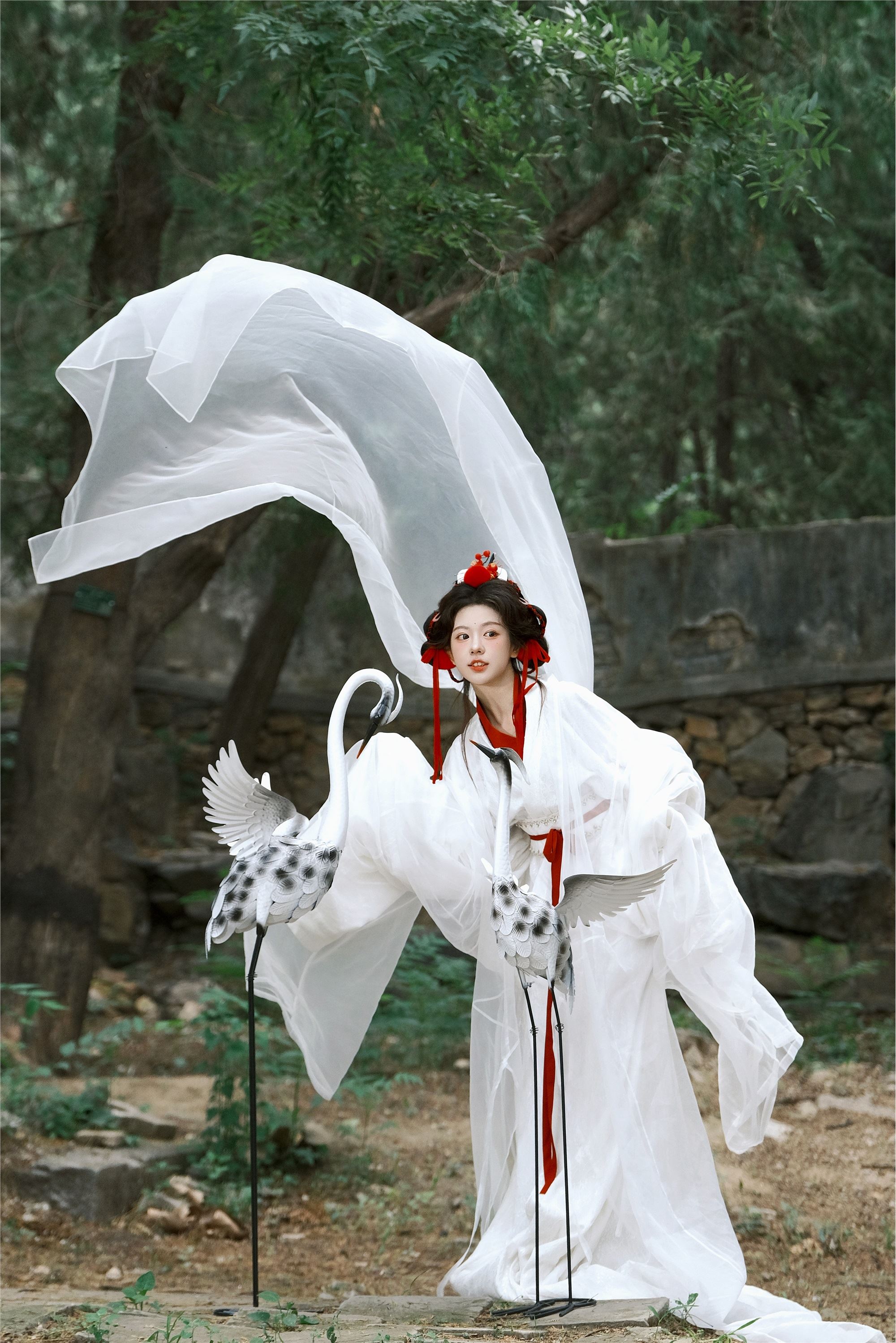 图片[2]-YITUYU艺图语期2025.02.05期鹤期整整-套图网