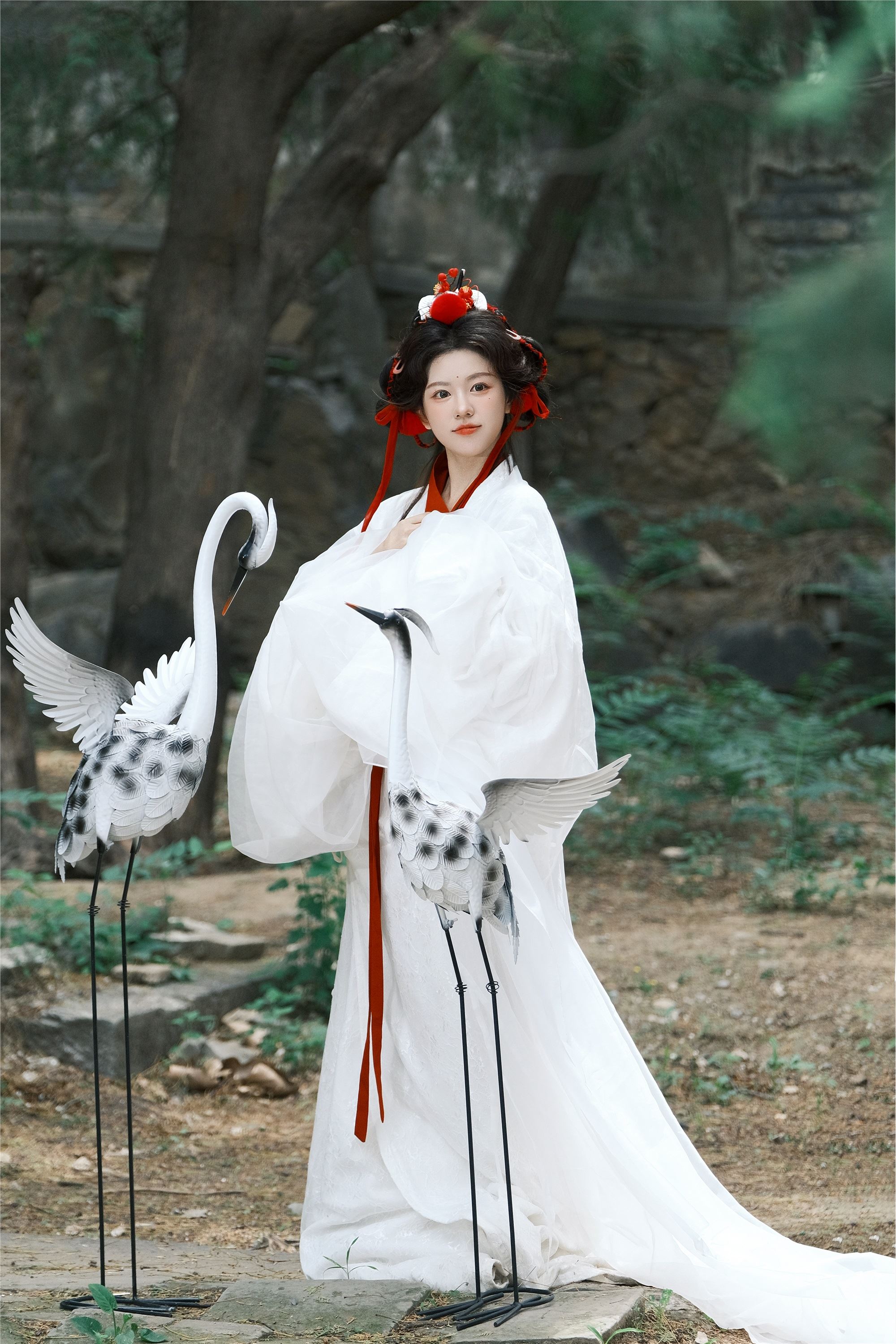 图片[3]-YITUYU艺图语期2025.02.05期鹤期整整-套图网