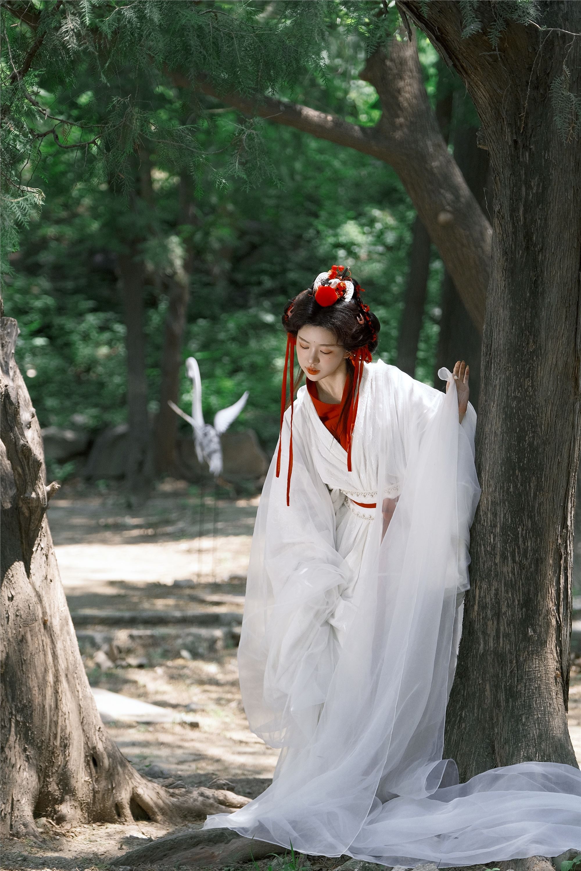 图片[4]-YITUYU艺图语期2025.02.05期鹤期整整-套图网