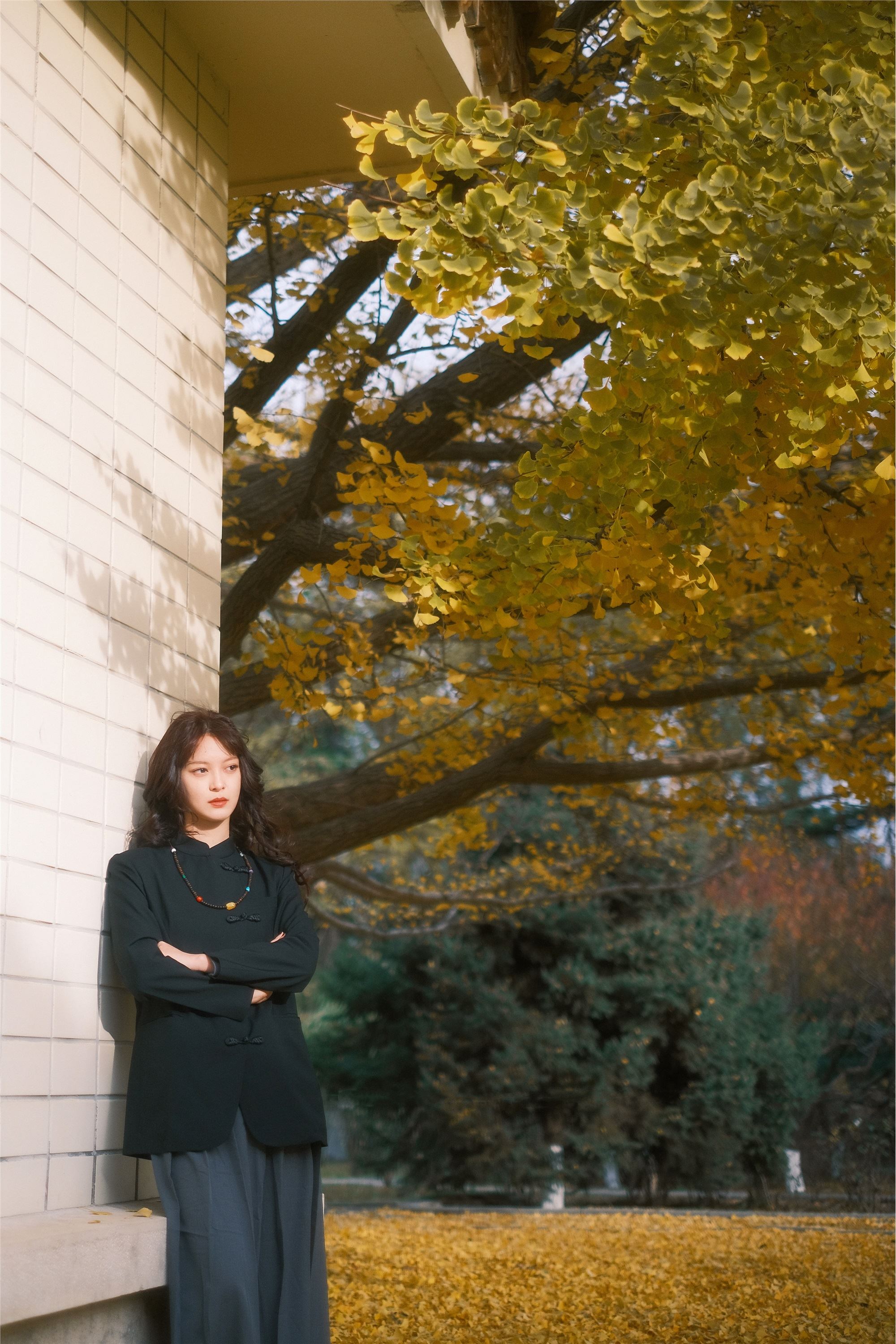 图片[8]-YITUYU艺图语期2025.02.08期东方韵期无上菩提-蕾丝猫