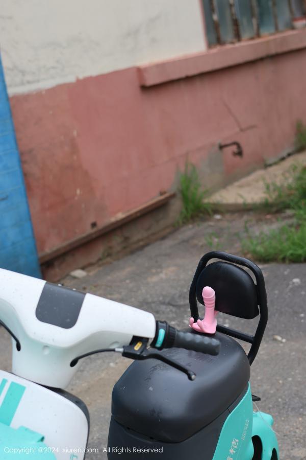 [XiuRen]高清写真图 2024.08.16 No.9024 小薯条nienie 美乳性感-套图网