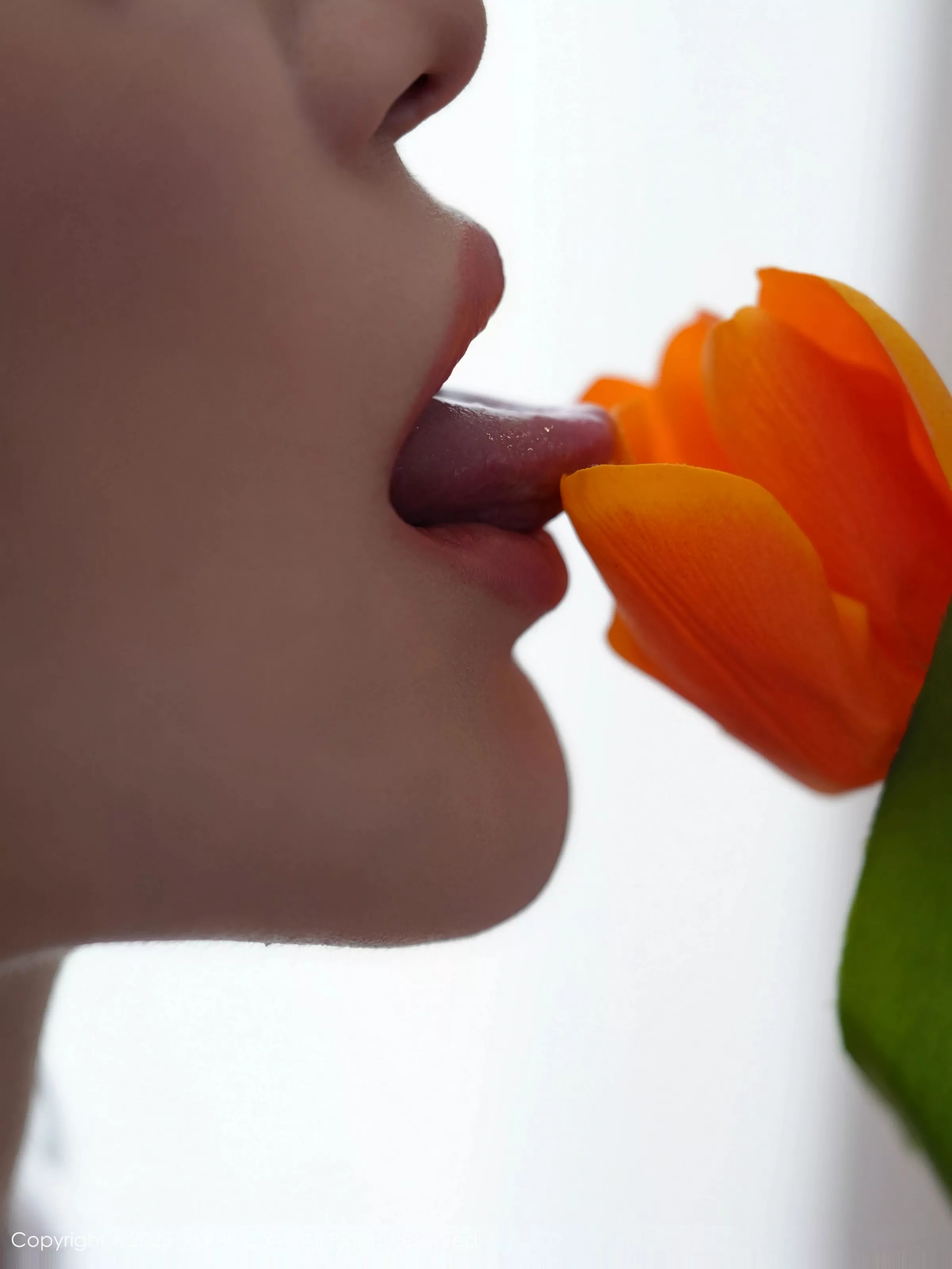 白露小猪  [XiuRen]高清写真图 2025.06.16 No.10416 白露lulu 粉色情趣第3张图片